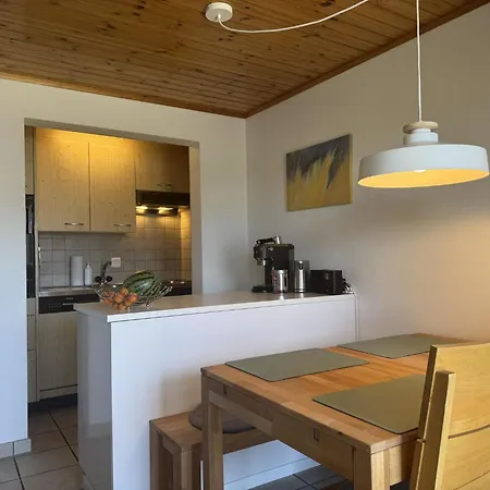 Konkordia 1 Eg Sued Appartement-fewo- Dusche Oder Bad- Wc By Interhome Bettmeralp